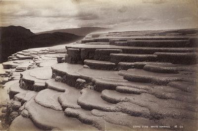 Kaffekopper, hvid terrasse, januar 1885 (albumin print) af George Dobson Valentine